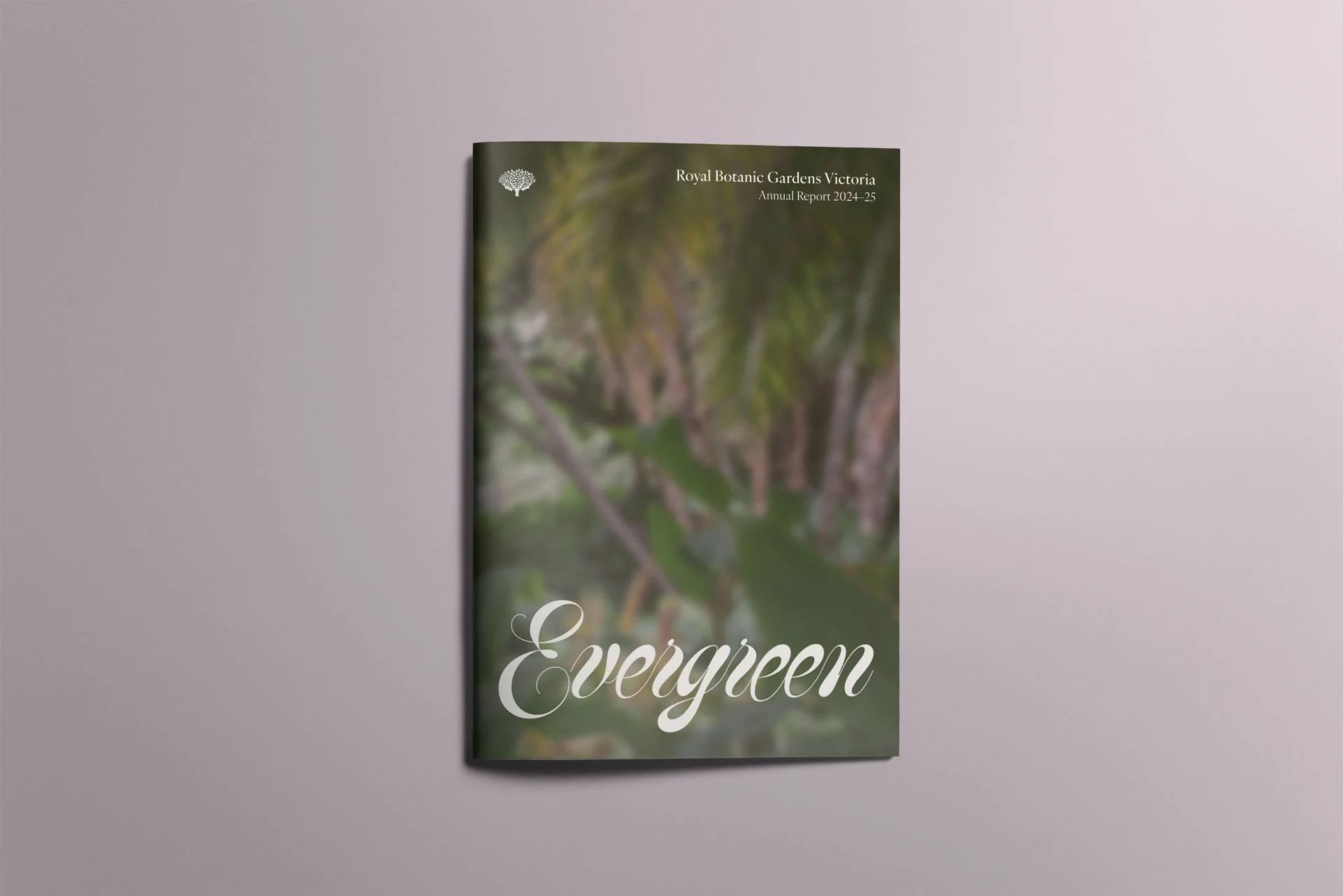 Evergreen-mockup-FC.jpg