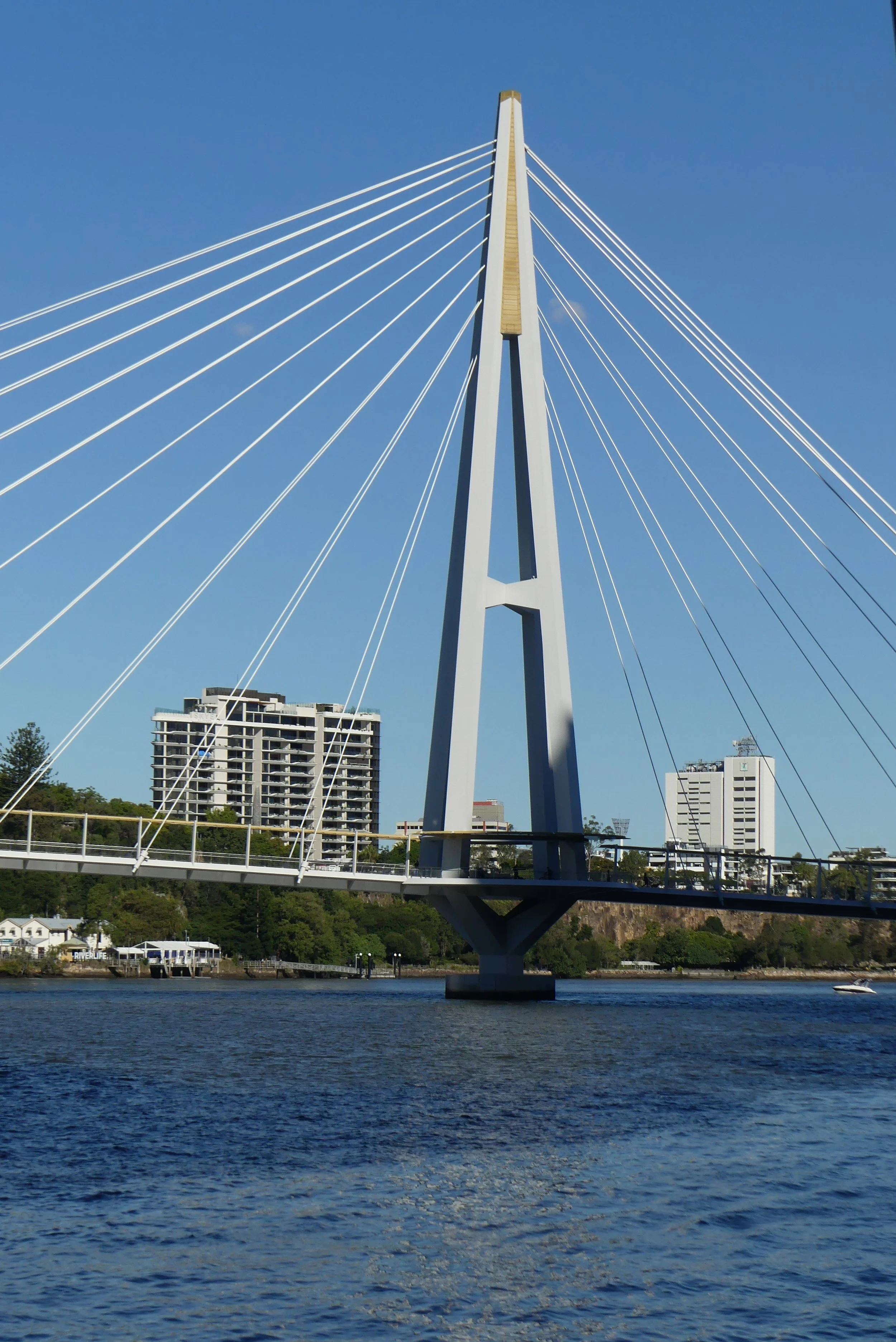 Kangaroo Point Bridge seen from the Brisbane CBD.