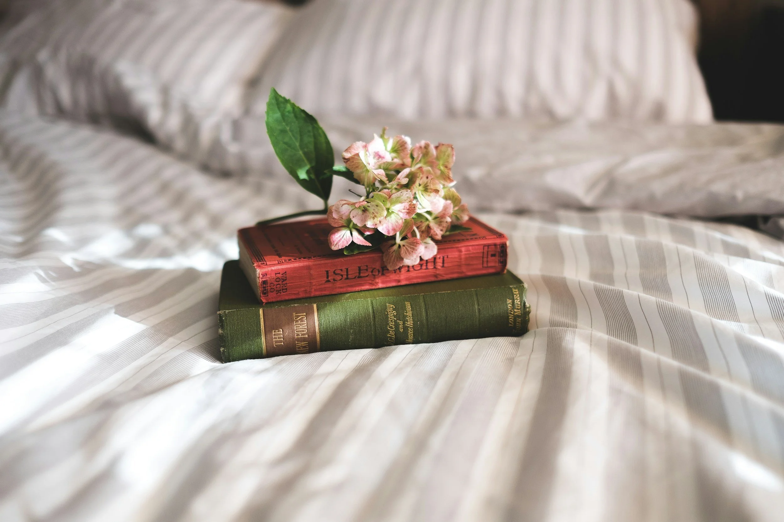 A small pink and green flower with a green leaf, resting on two stacked hardcover books with ornate gold and red lettering, placed on a white, striped fabric surface.