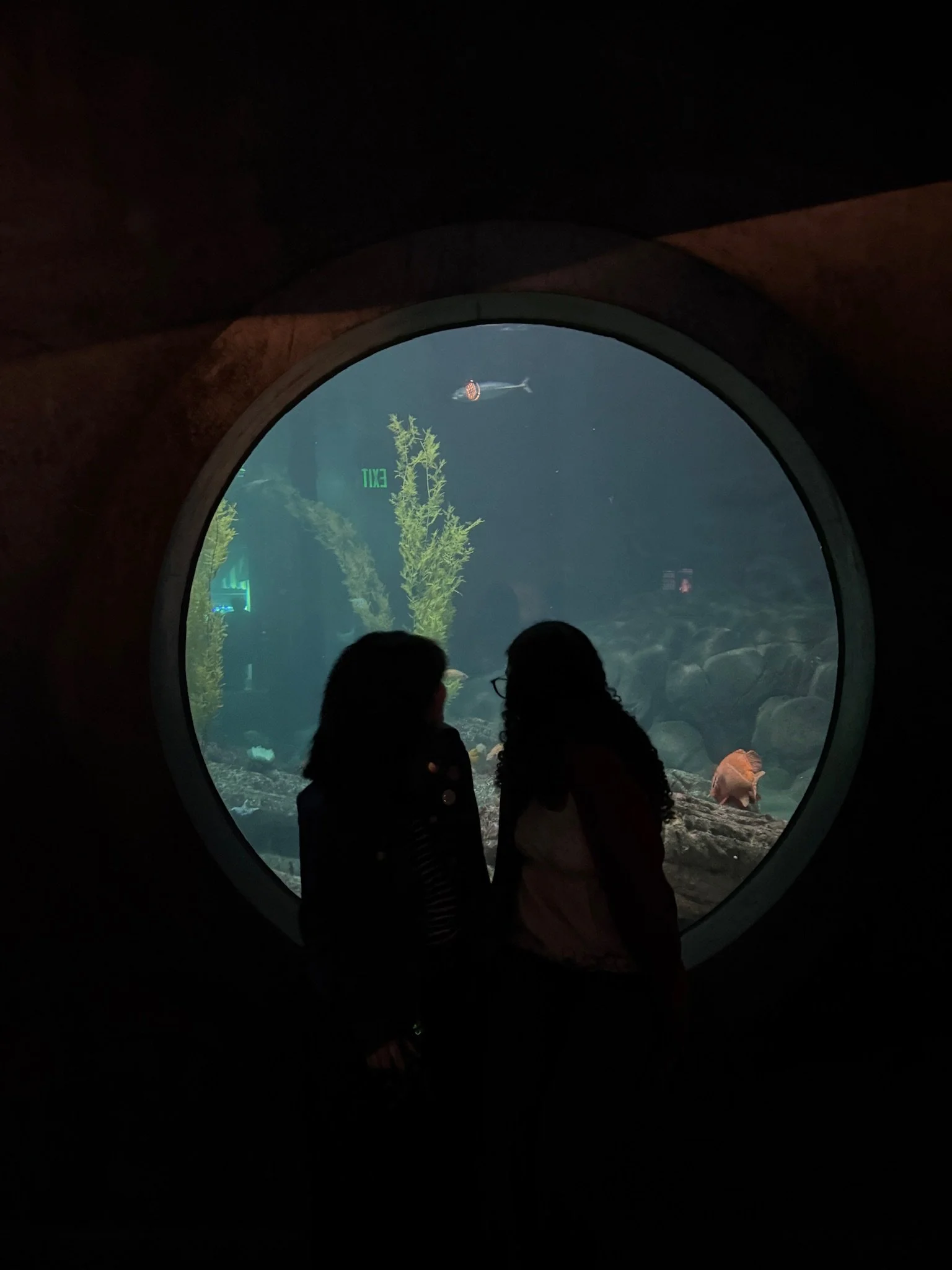 Two children standing inside an aquarium viewing area, looking out a large circular window at the underwater scene with a dolphin, coral, and fish. The image is dark, with silhouettes of the children visible against the brightly lit tank.