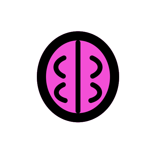 Stylized ladybug illustration with black body and pink wings with black spots, on a black background.