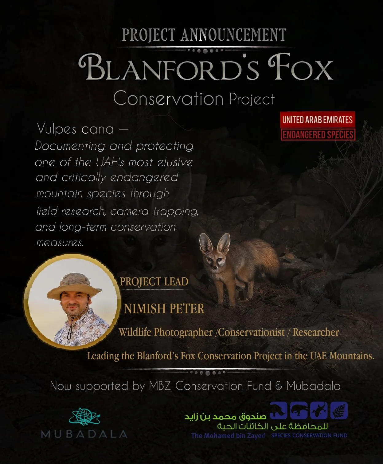 The Blanford's Fox Conservation Project: Protecting One of the UAE's Most Elusive Mountain Species