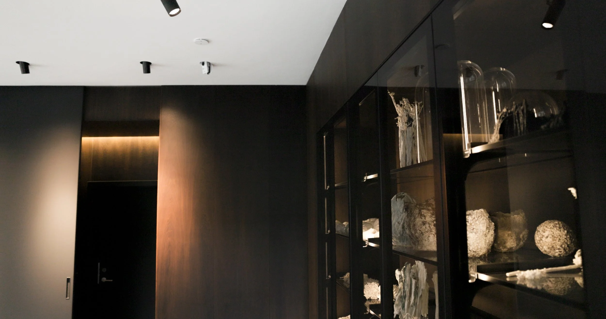 Ein moderner Raum mit dunklen Wänden und einer Glaskabinettnische, die verschiedene Steine und Fossilien zeigt.