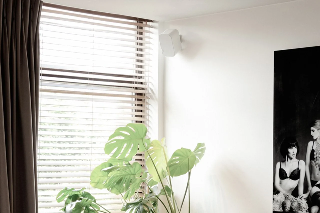 Wohnzimmer mit großen Fenster mit Jalousien, grüne Zimmerpflanze und schwarz-weißes Poster von drei Frauen in Unterwäsche an der Wand.