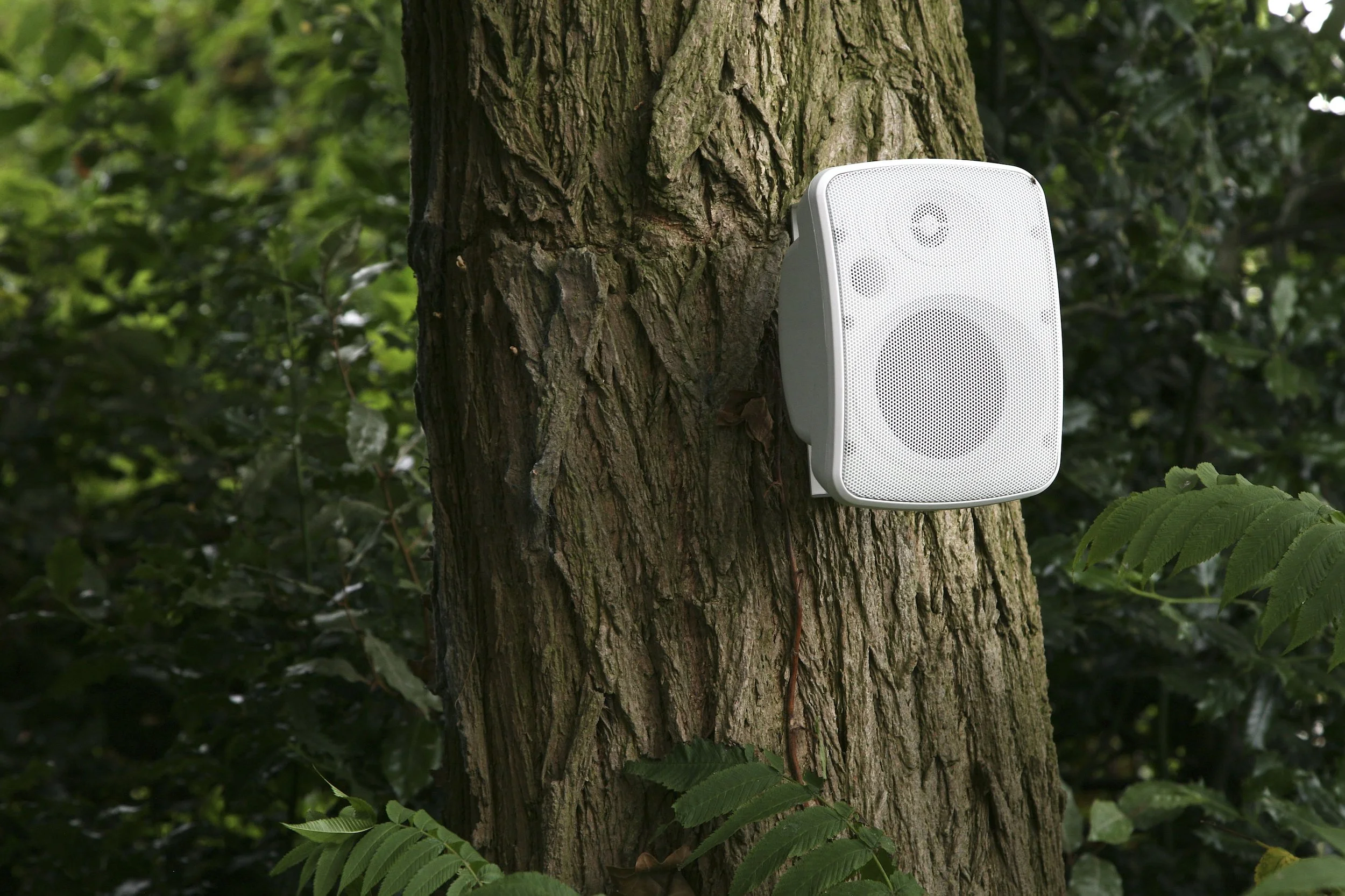 Wegesprecher an einem Baum im Wald