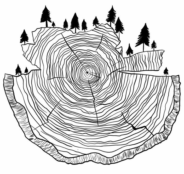 A graphically drawn cross-section of a tree trunk with rings indicating age, and small silhouettes of trees on top of the trunk.