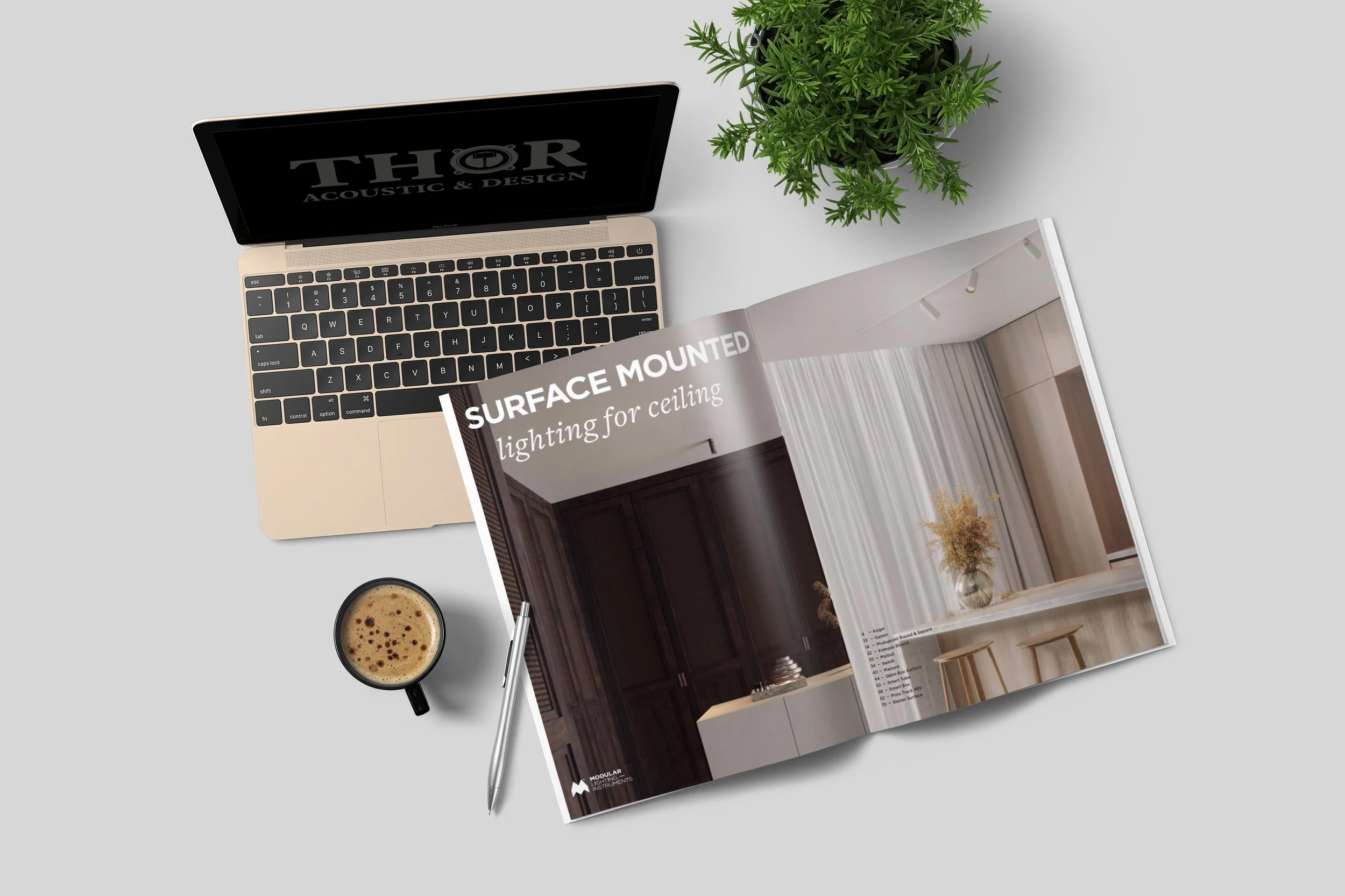 Arbeitsplatz mit Laptop, offener Design-Zeitschrift, Kaffee in Tasse, Stift und Topfpflanze auf hellem Tisch