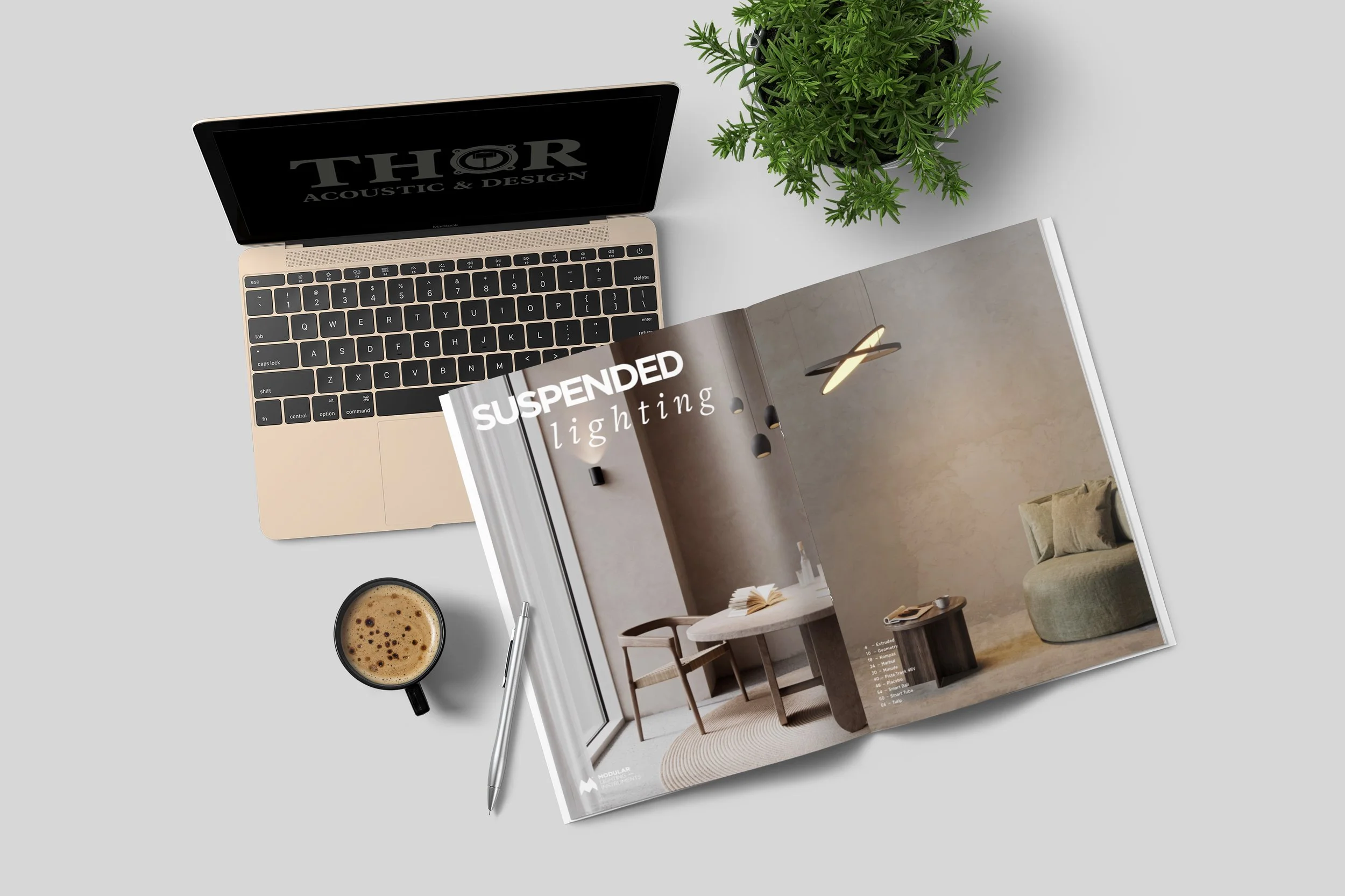 Laptop, offenes Magazin mit Architektur-Fotografie, Kaffeetasse, Kugelschreiber, grüner Topf mit Pflanze auf hellem Schreibtisch.