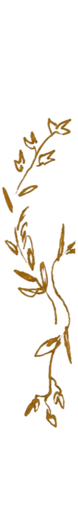 Golden-colored, hand-drawn illustration of a plant with leaves and small buds.