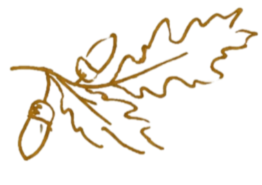 A line drawing of an oak leaf with an acorn attached to its stem.