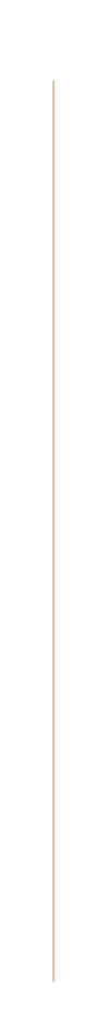 A vertical gold-colored object with a plain background.
