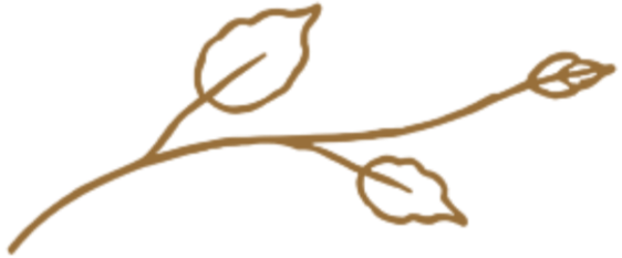 A simple, stylized illustration of a brown branch with three leaves.