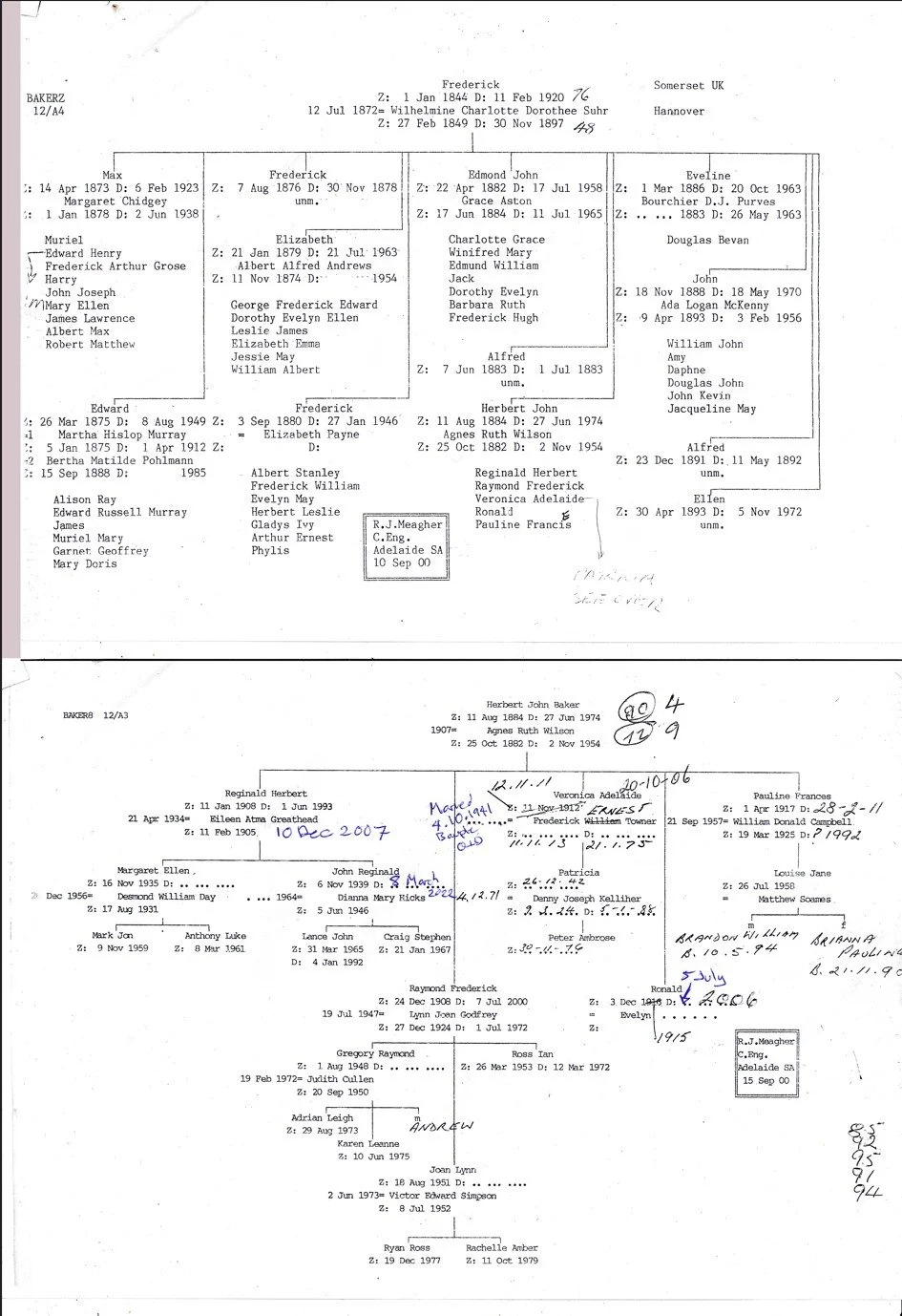 Family tree.jpg