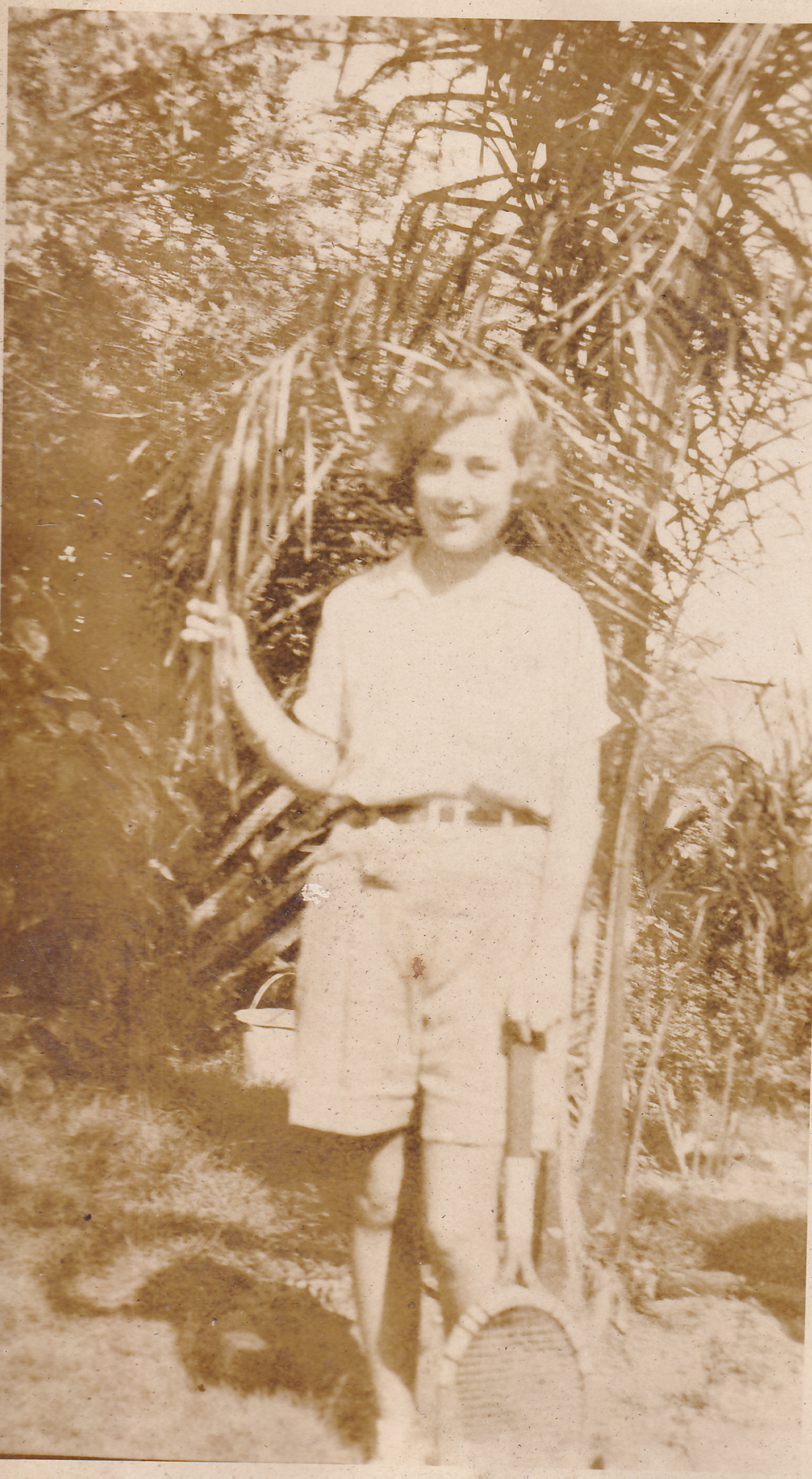Veronica, possibly in Bauple.png