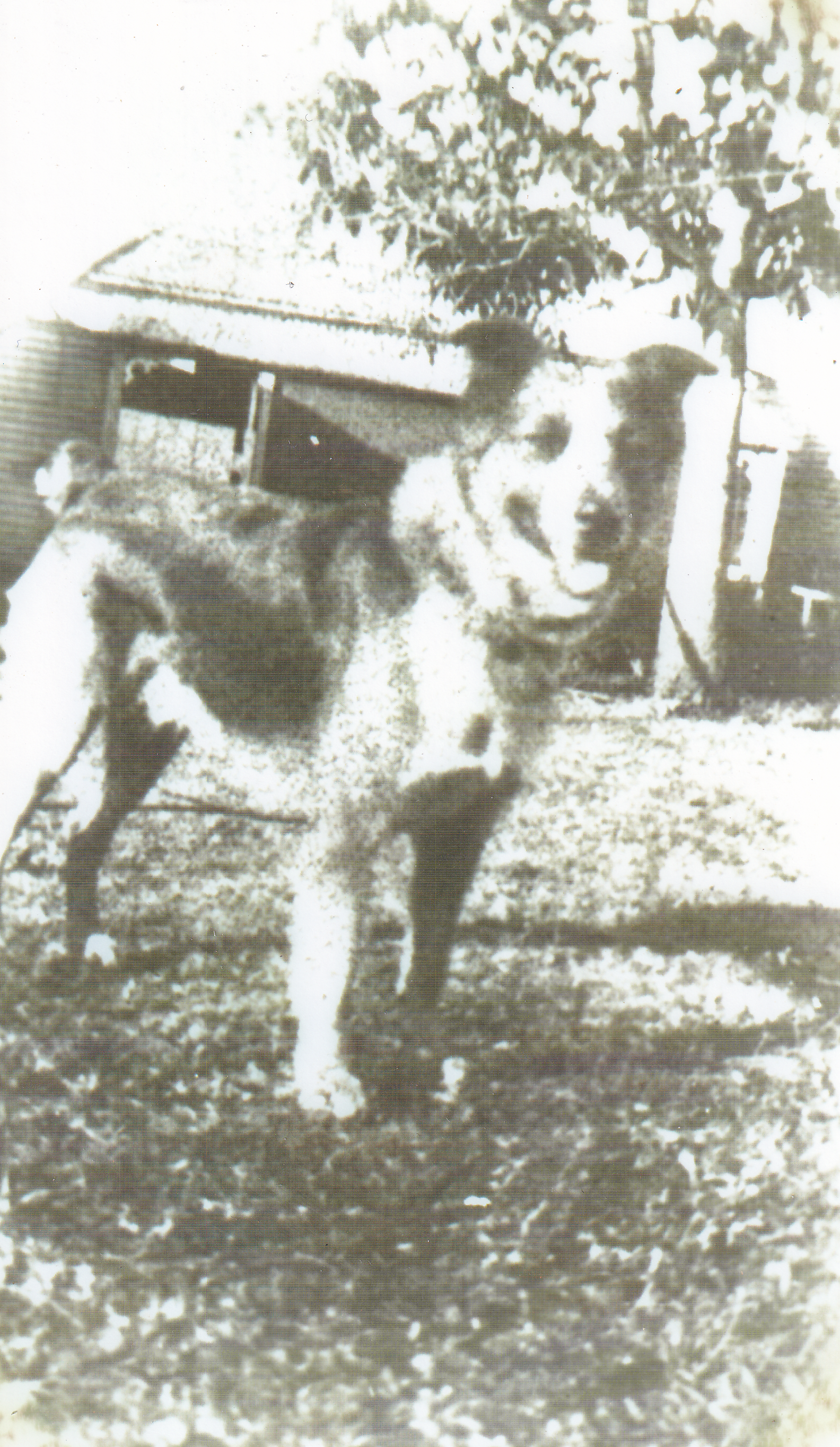 Sykes, Veronica's (Girlie's) dog.  He loved Minties and was clever enough to unwrap them with his paws and then eat the treat inside