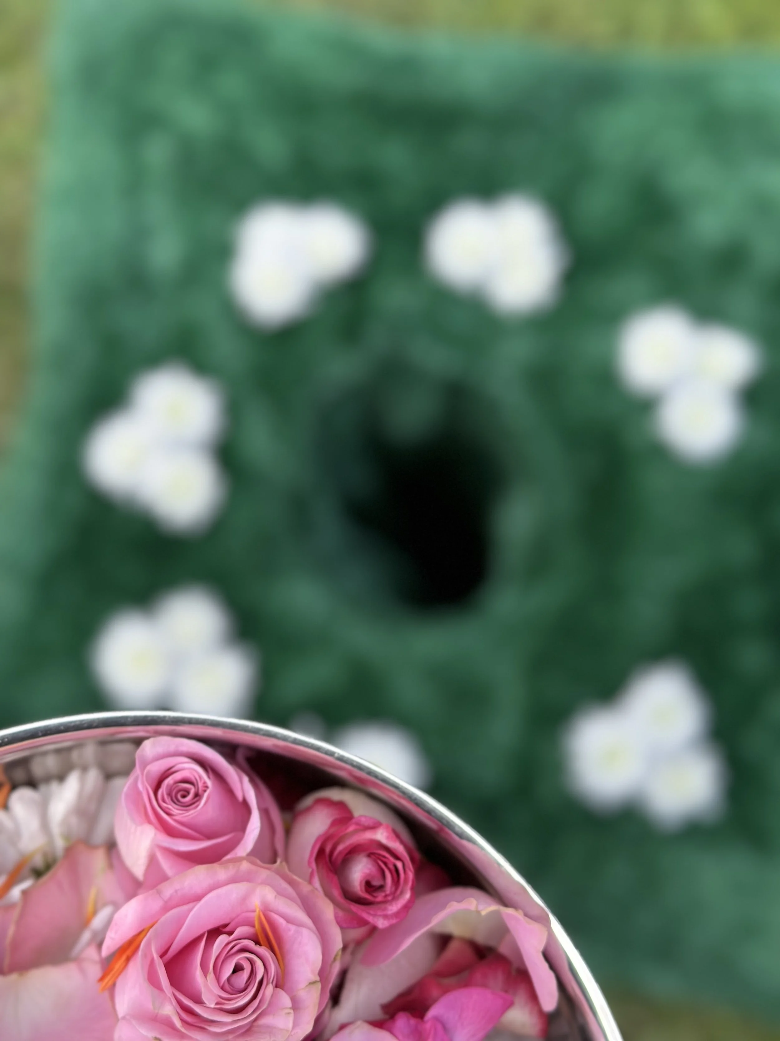 Bunte Rosen in einer Schale, mit einem grünen, unscharfen Hintergrund.