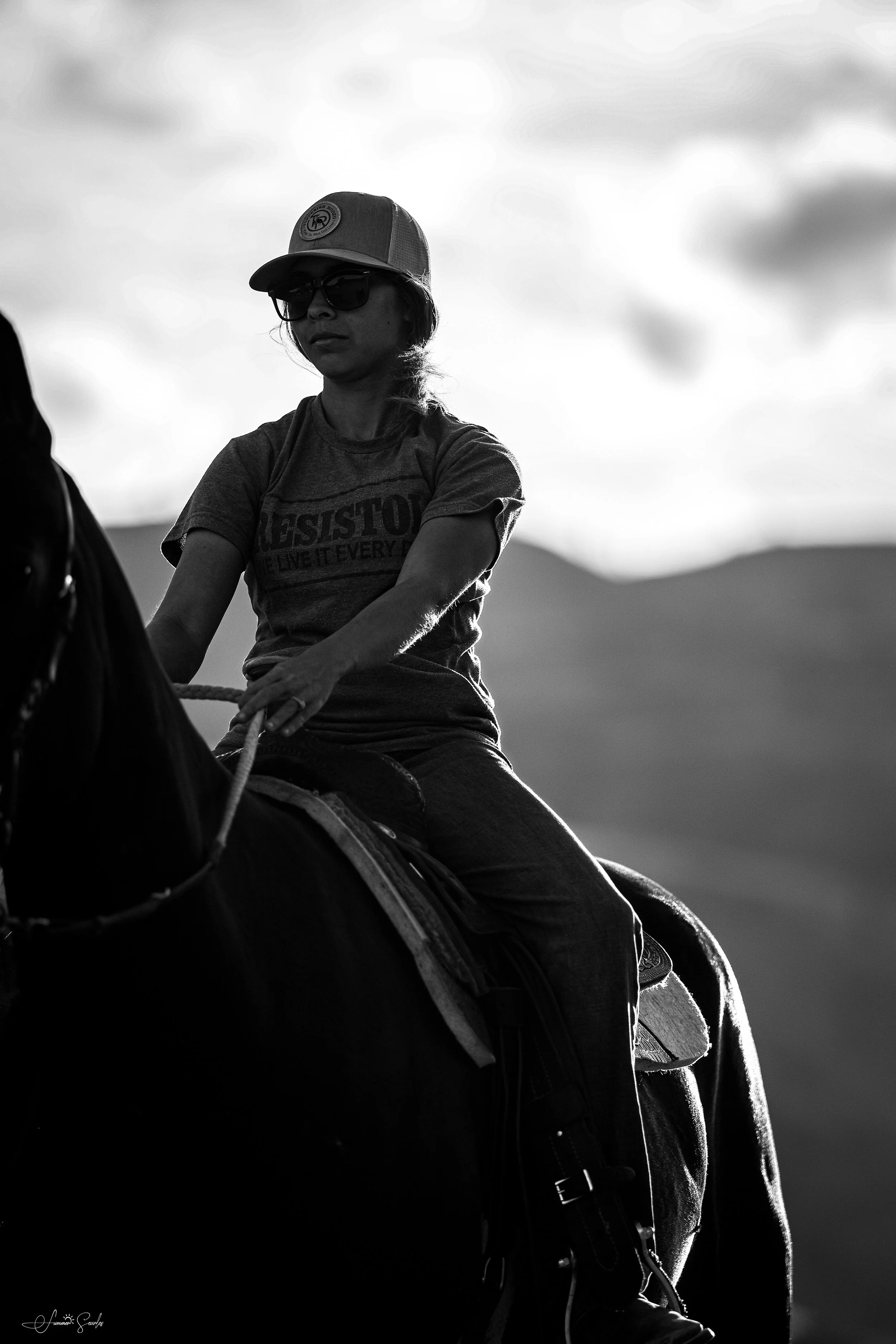 On-Site Equine Marketing - $500/mo + 10% Commission