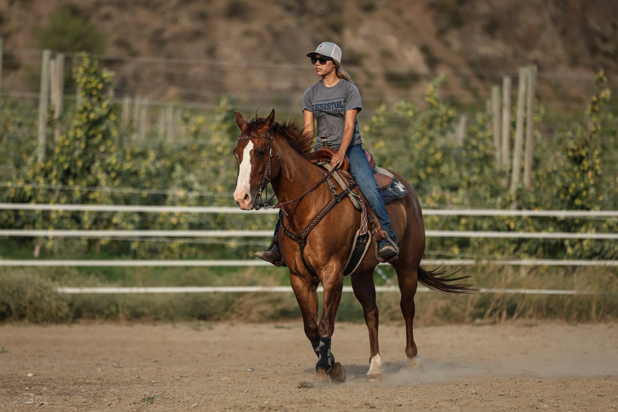 Riding Lessons - $50