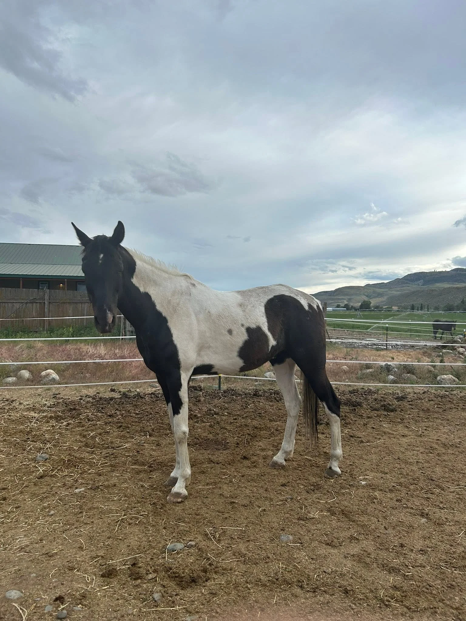 Cisco