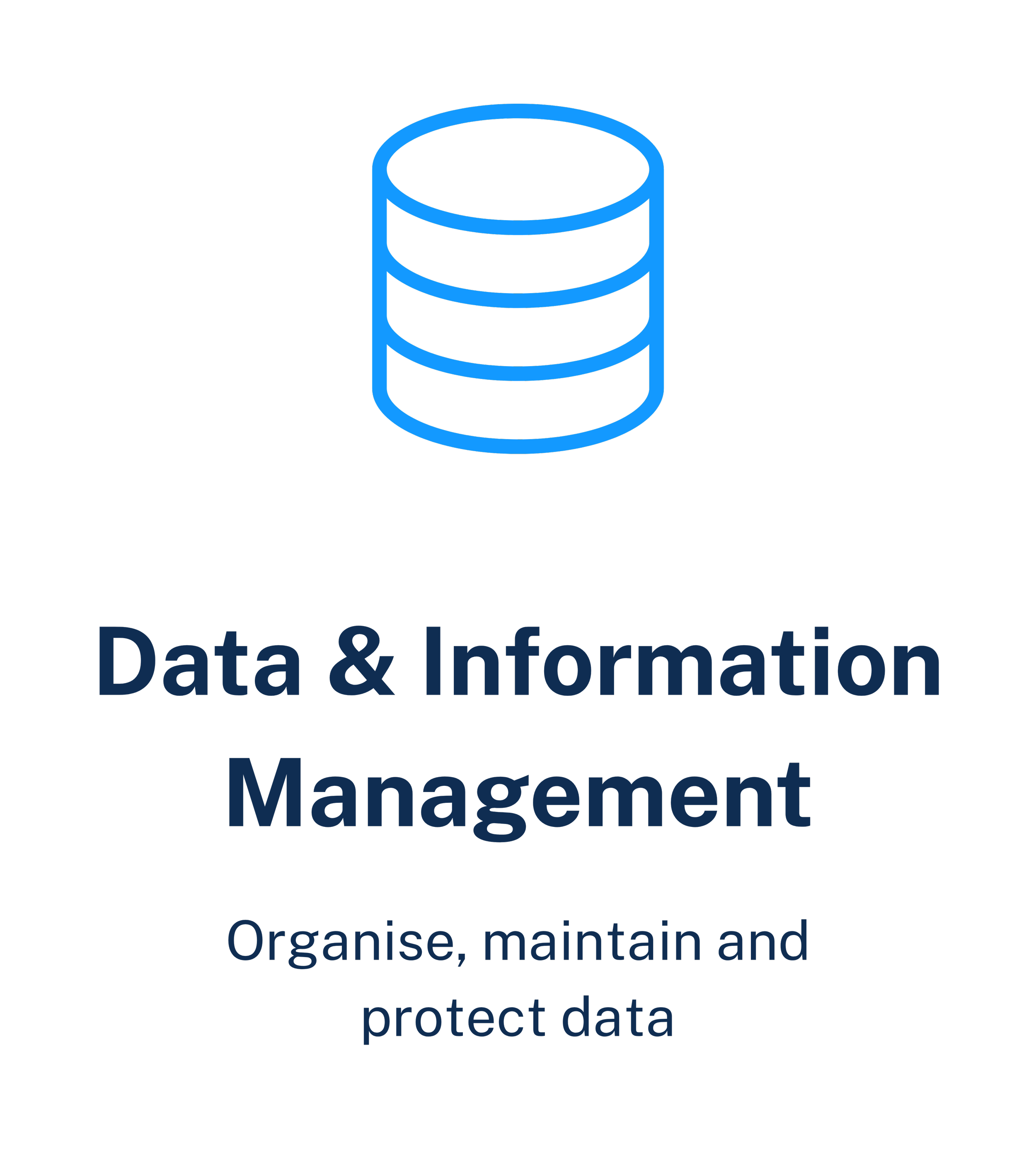 Data and information management service organising, maintaining and protecting important business information.
