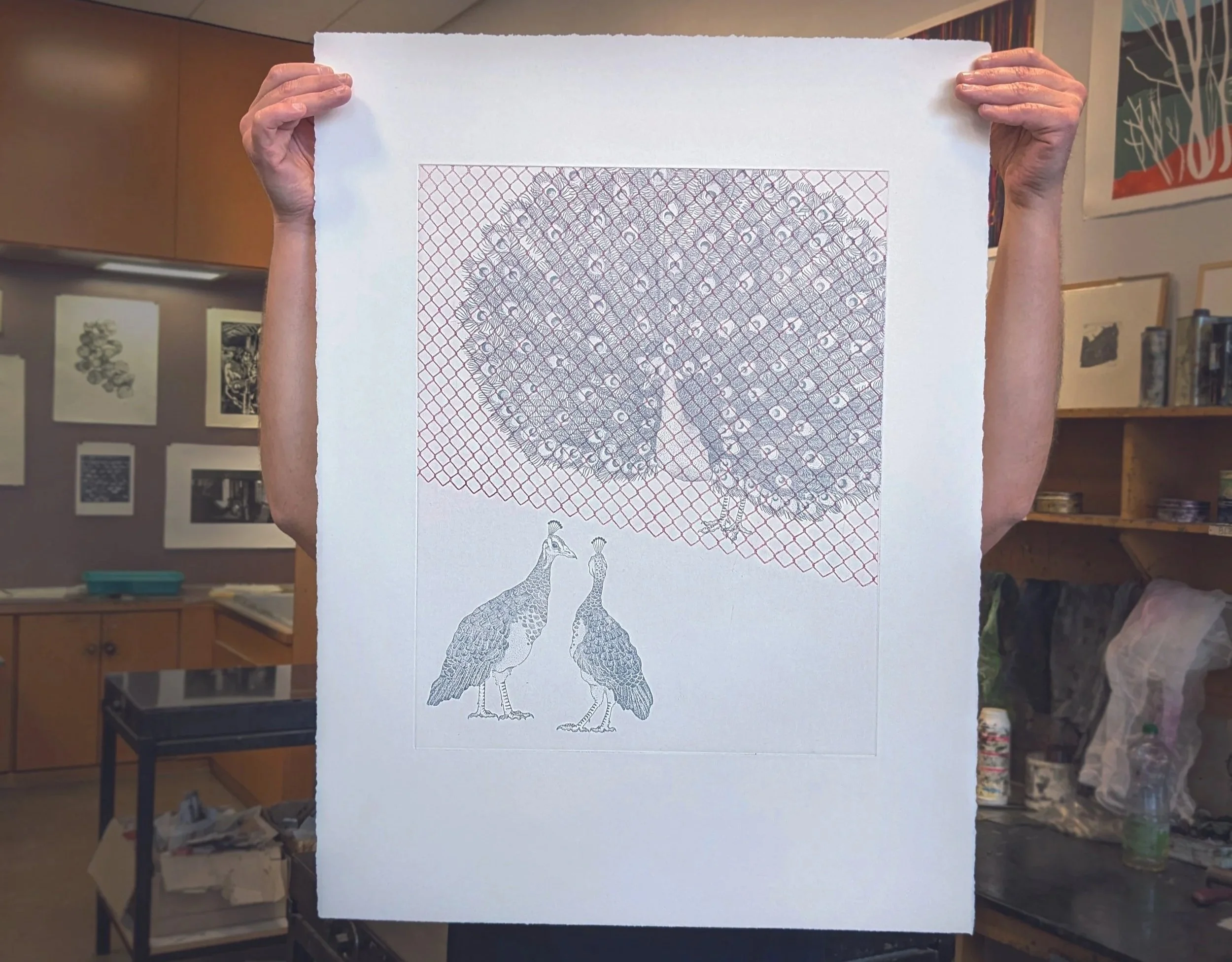 Une personne tient une affiche représentant trois paons dessinés en noir et blanc. En arrière-plan, une salle semble être une galerie ou un espace d'exposition, avec plusieurs œuvres accrochées au mur.