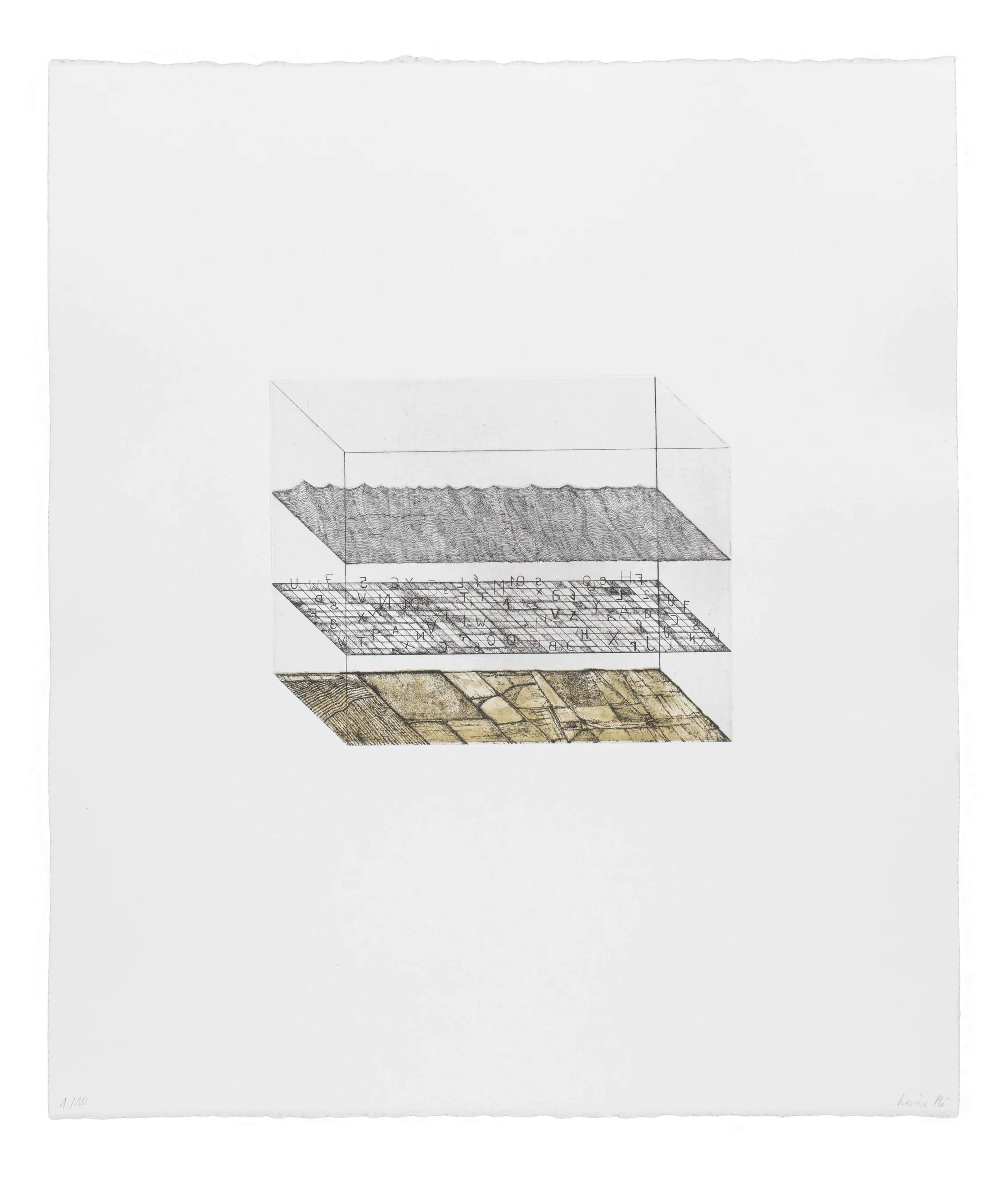 « Oïd 1 »,Lorène Plé, 2024