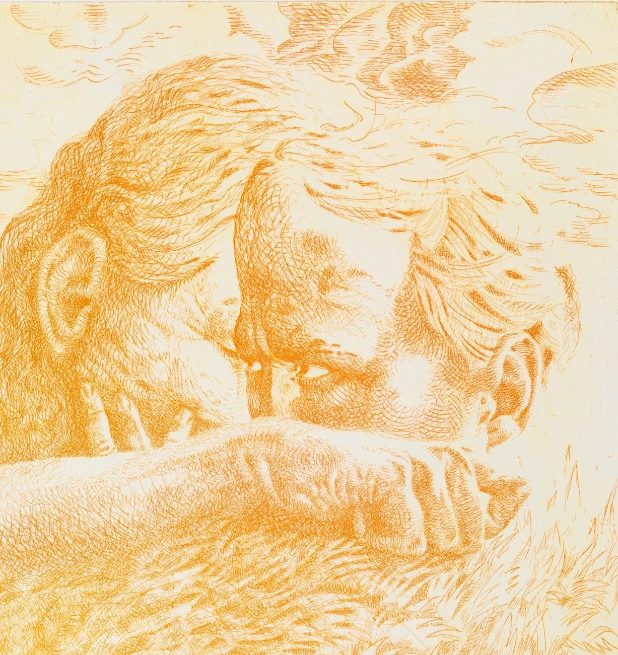 Un dessin en orange sur fond clair représentant une tête humaine stylisée, avec des détails de cheveux et d'oreilles, en train de regarder ou de se pencher sur une surface. Des nuages sont esquissés en haut de l'image.