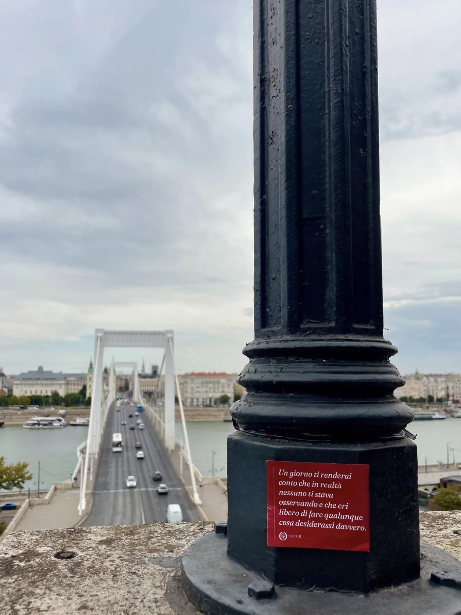 IMG_7421.jpeg