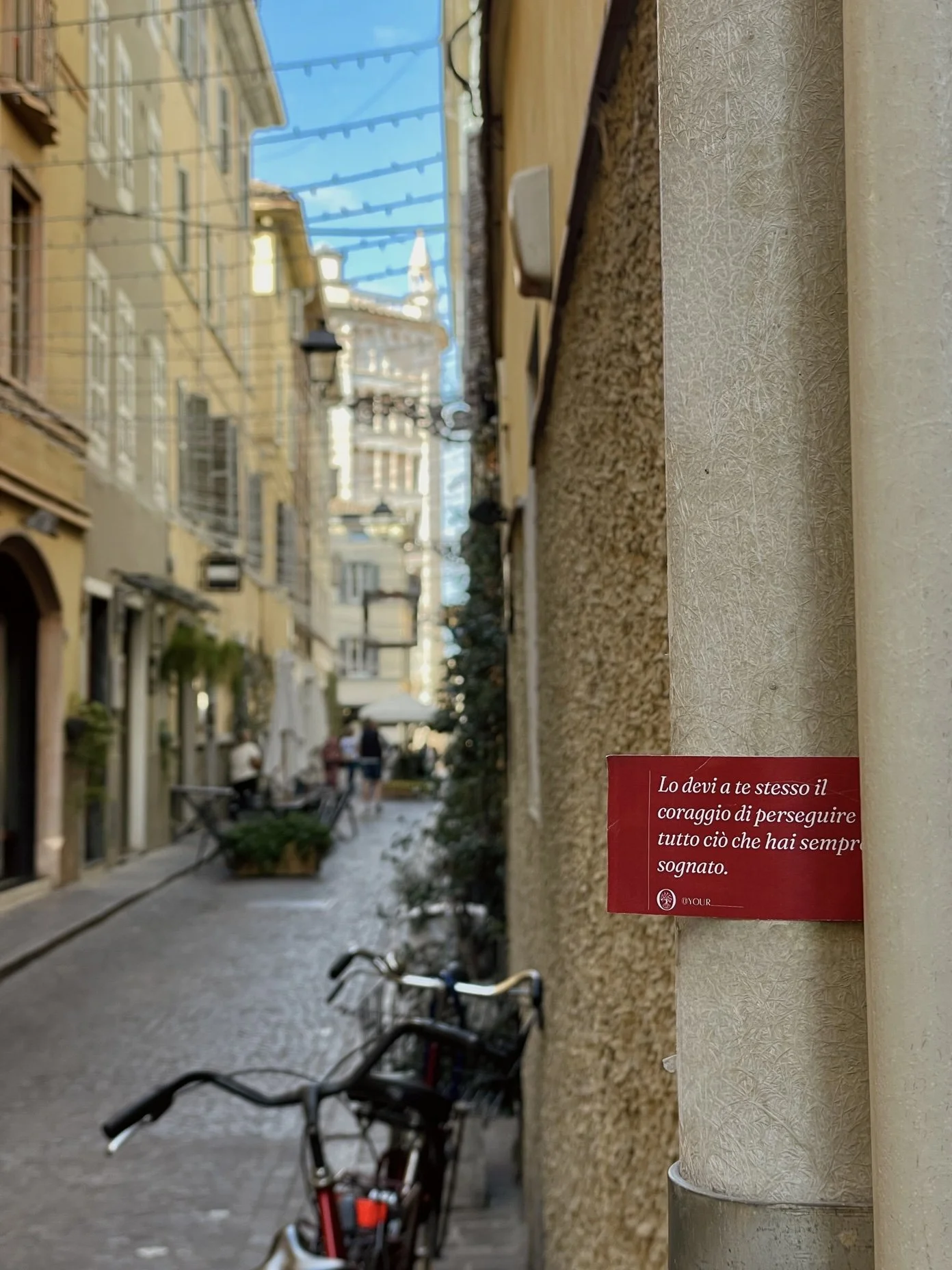 IMG_7419.jpeg