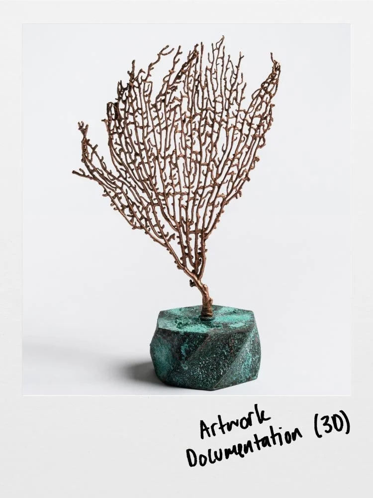 Artwork Documentation (3D) Workshop