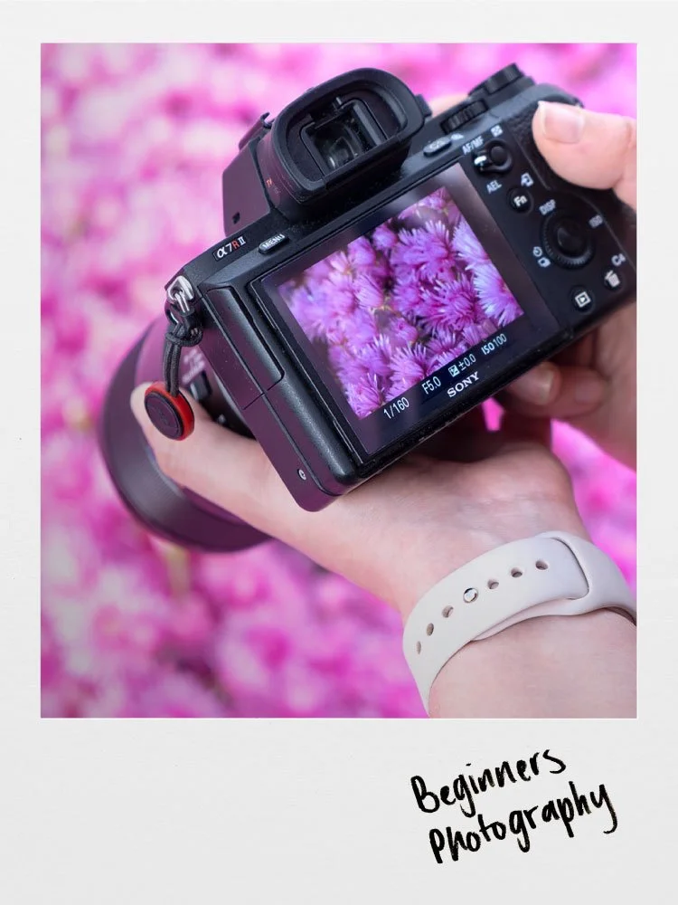 Beginners Photography Workshop