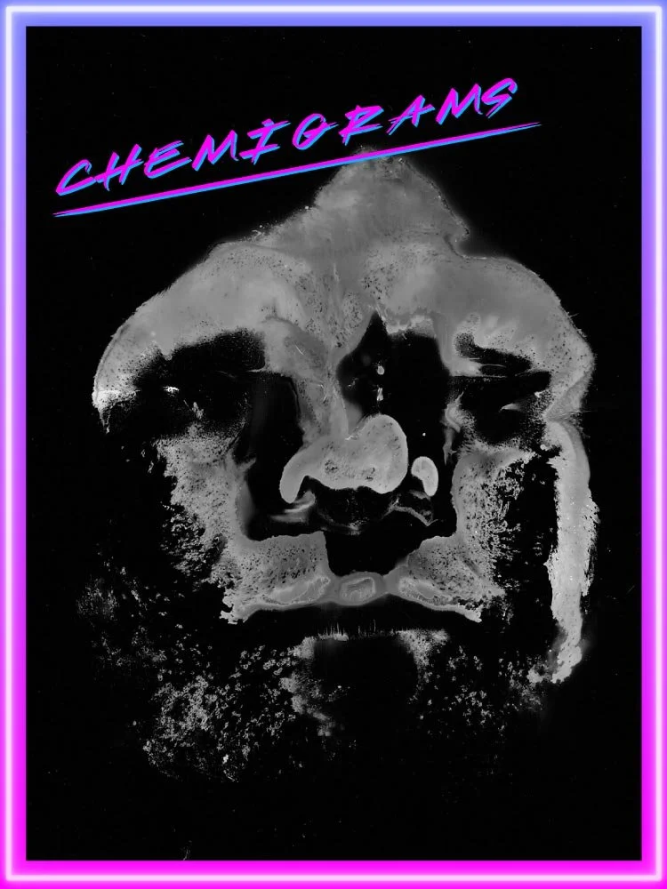 Night School: Chemigrams