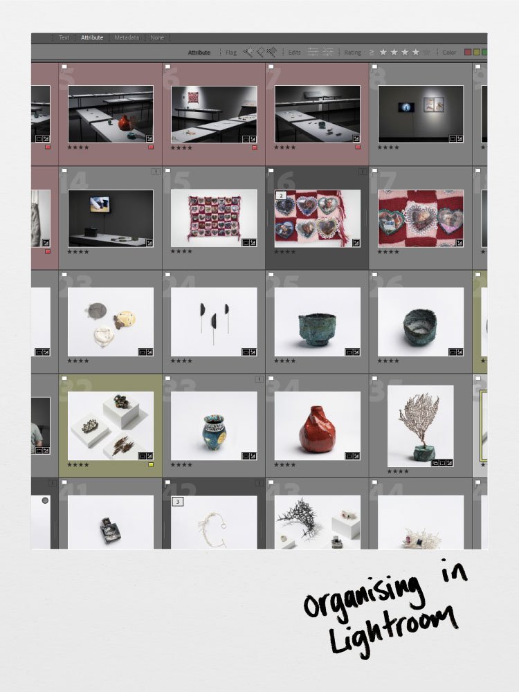 Organising in Lightroom
