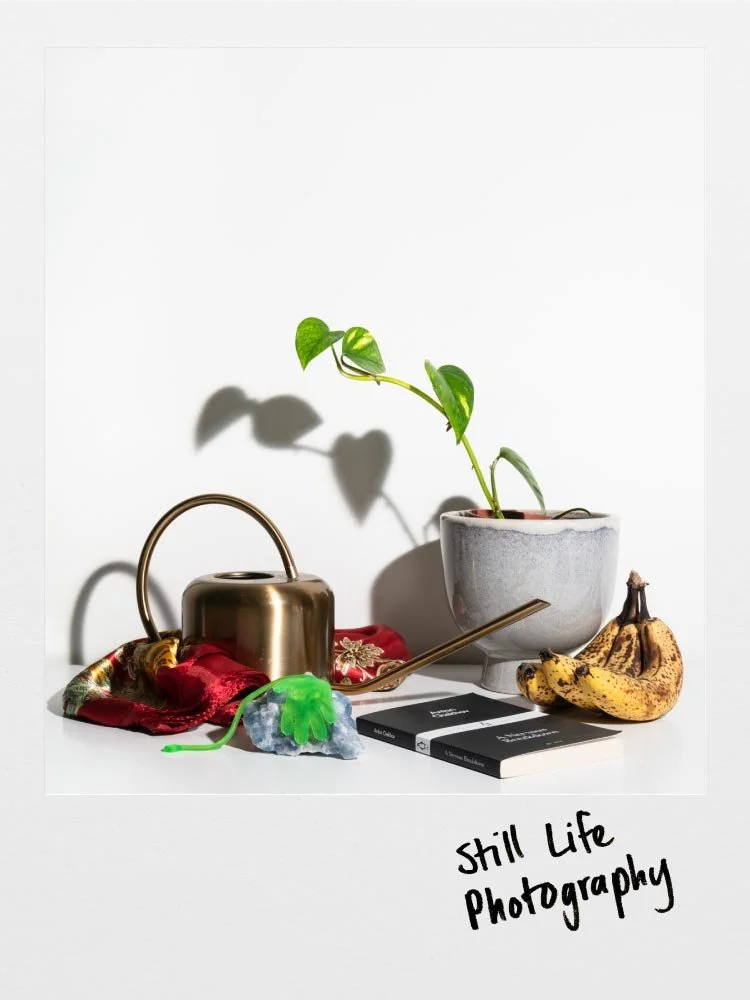 Still Life Photography Workshop
