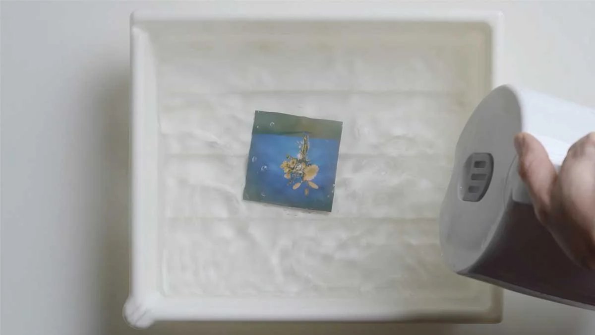 Adding boiling water to a tray with a polaroid photograph.