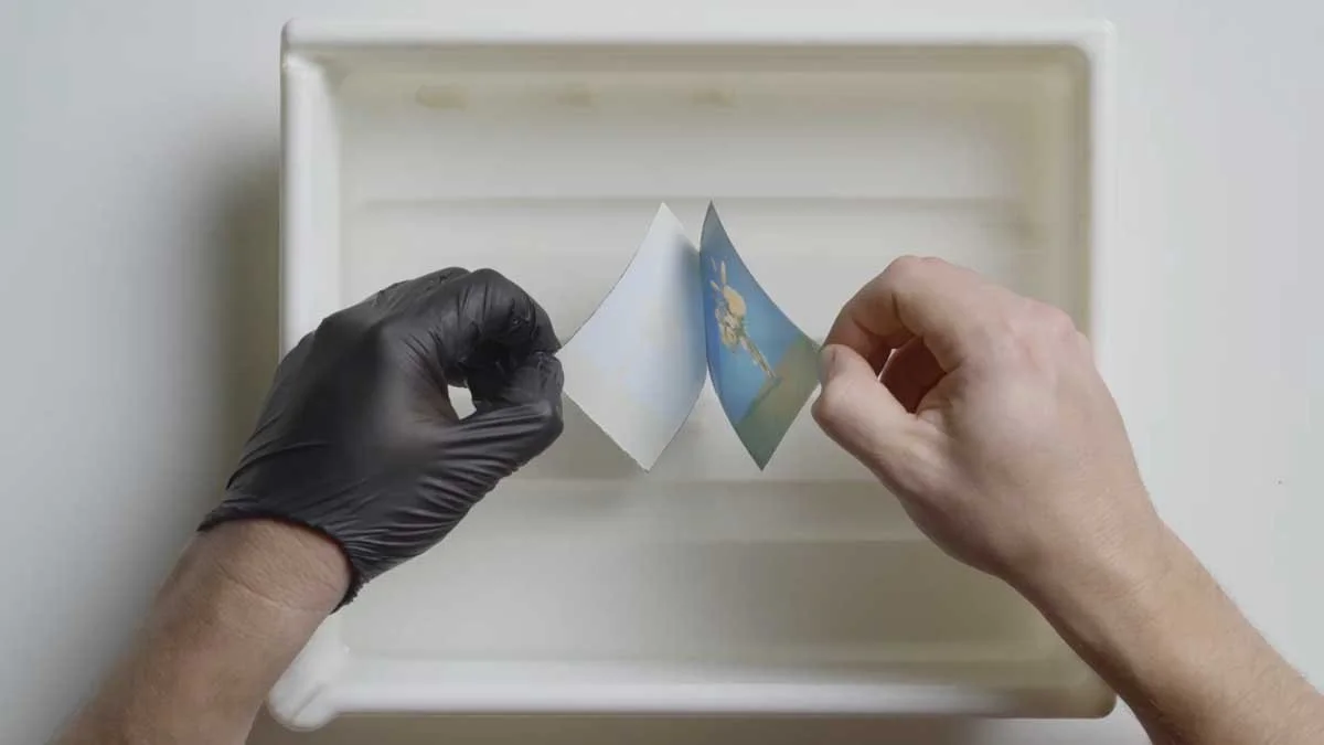 A pair of hands peeling apart a polaroid print for a polaroid emulsion lift.