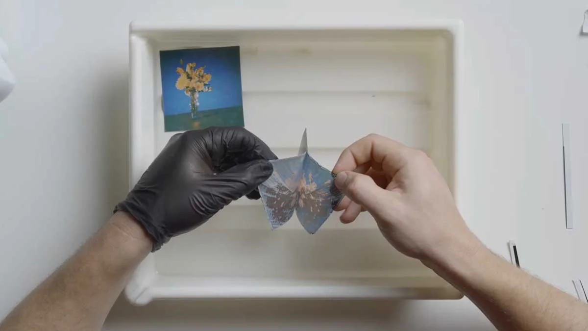 A polaroid peel where the chemistry has hardened.