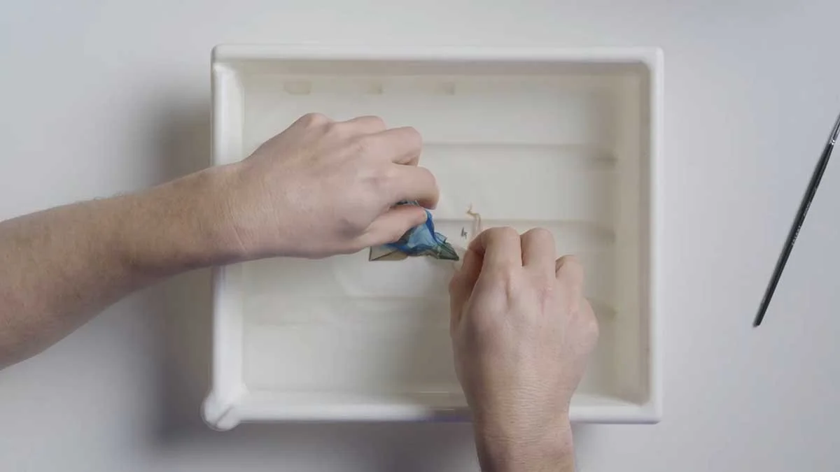 Separating the emulsion and gel layers in a polaroid lift.