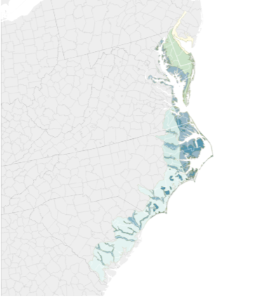 Middle Atlantic Coastal Plain found on Bplant.org