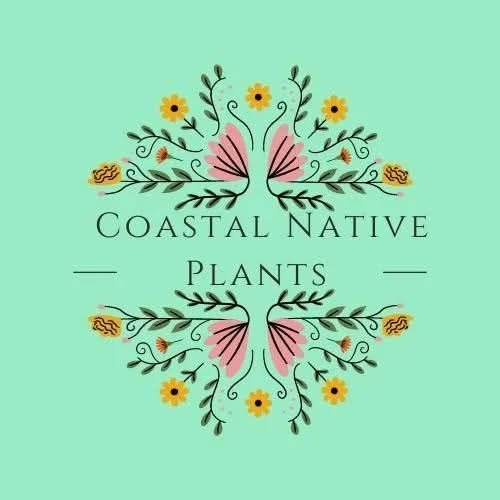 Floral logo with pink shells, yellow flowers, and green leaves surrounding the text 'Coastal Native Plants' on a light green background.