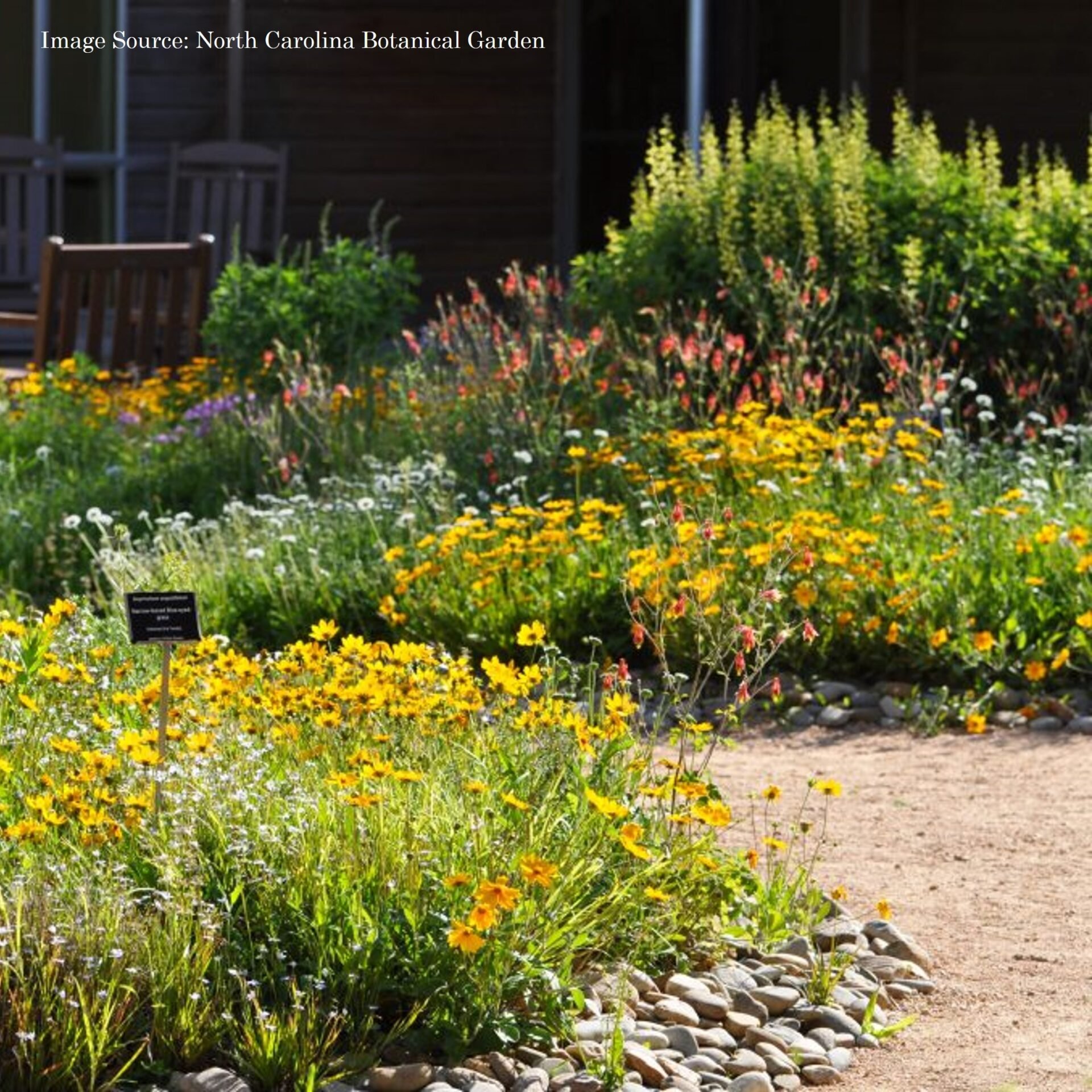 A vibrant flower garden with colorful blooms, including yellow, orange, red, pink, purple, and white flowers, and a dirt path edged with smooth stones. Some chairs sit in the background against a wooden building.