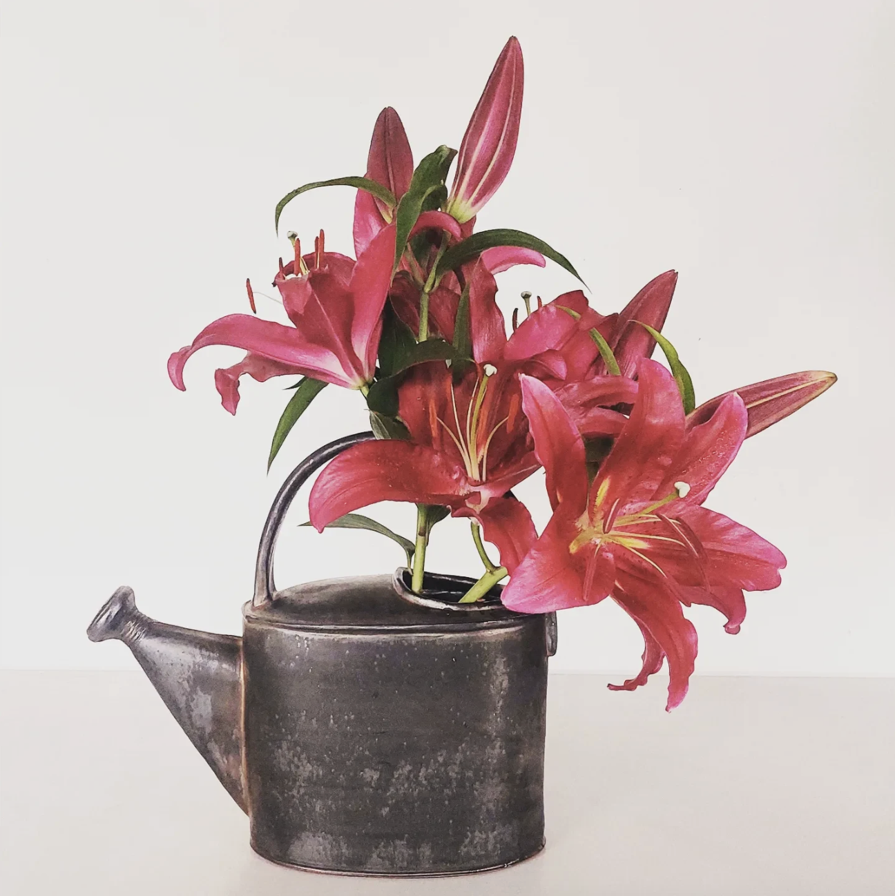 A bouquet of red lilies in a vintage, rustic-style watering can against a plain white background.