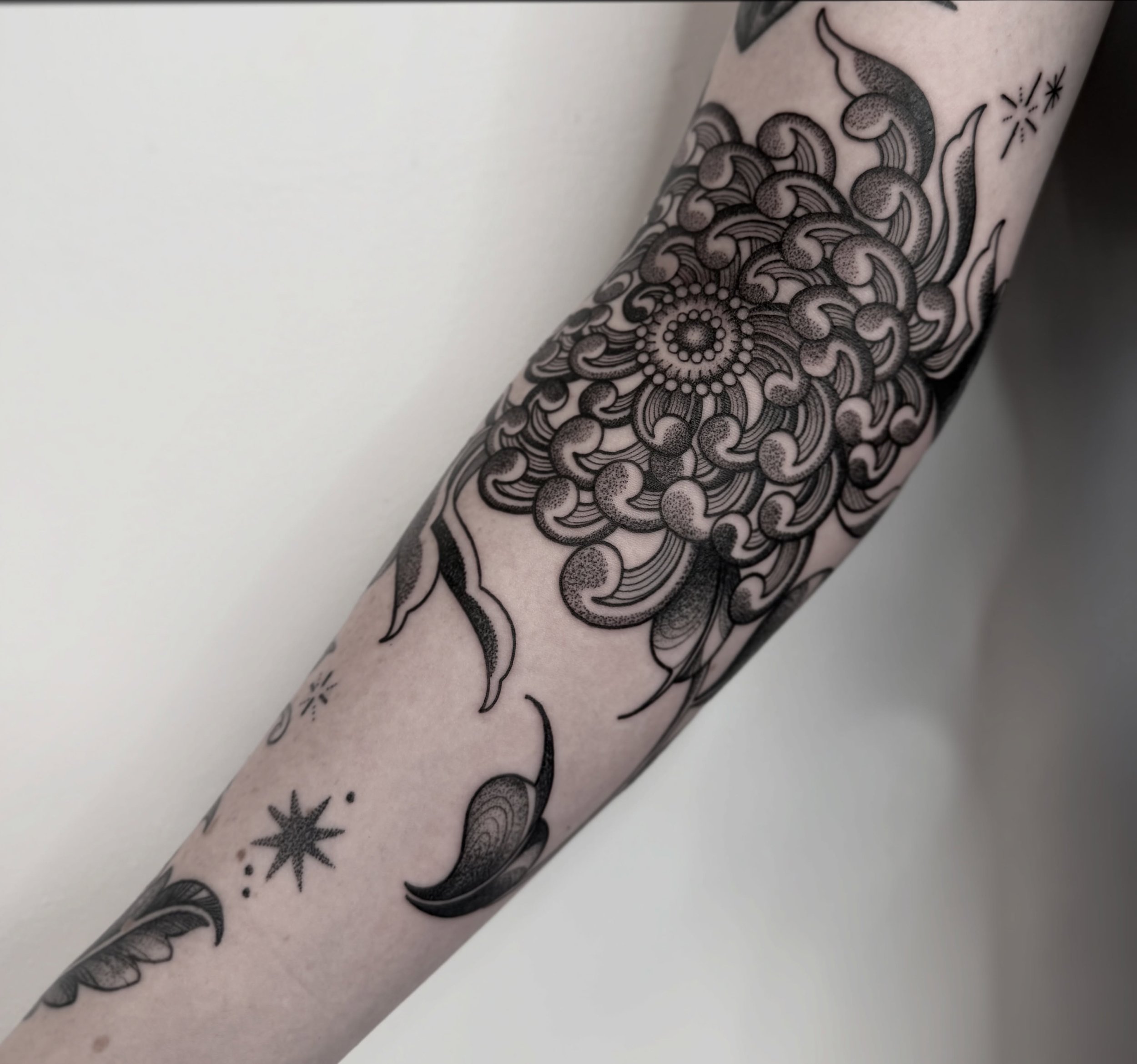A cuuuurly chrysanthemum, like she&rsquo;s blowing in the wind 🌀 

I met Nia at the most recent @bristoltattooconvention &amp; she collected a couple of my flash bangers which i was super happy to get to tattoo! 
We&rsquo;re now working on filling o