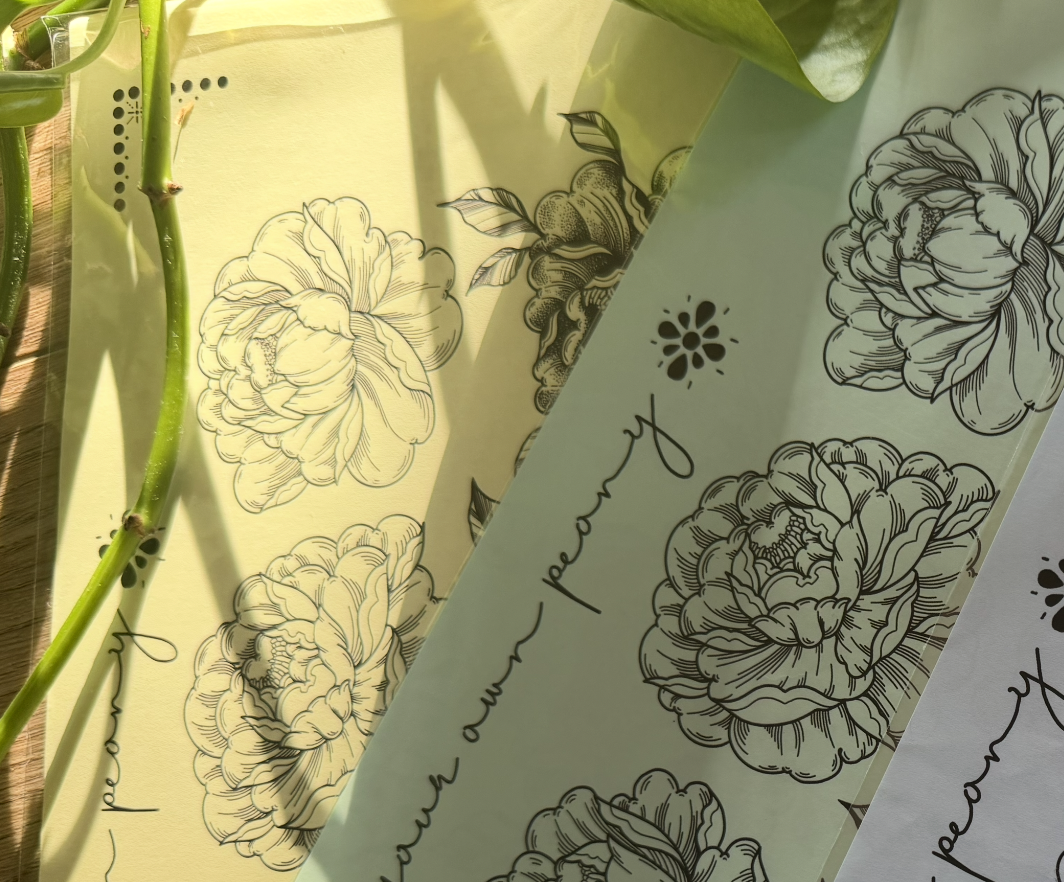 How to draw your own peony poster - Lightweight poster-style paper