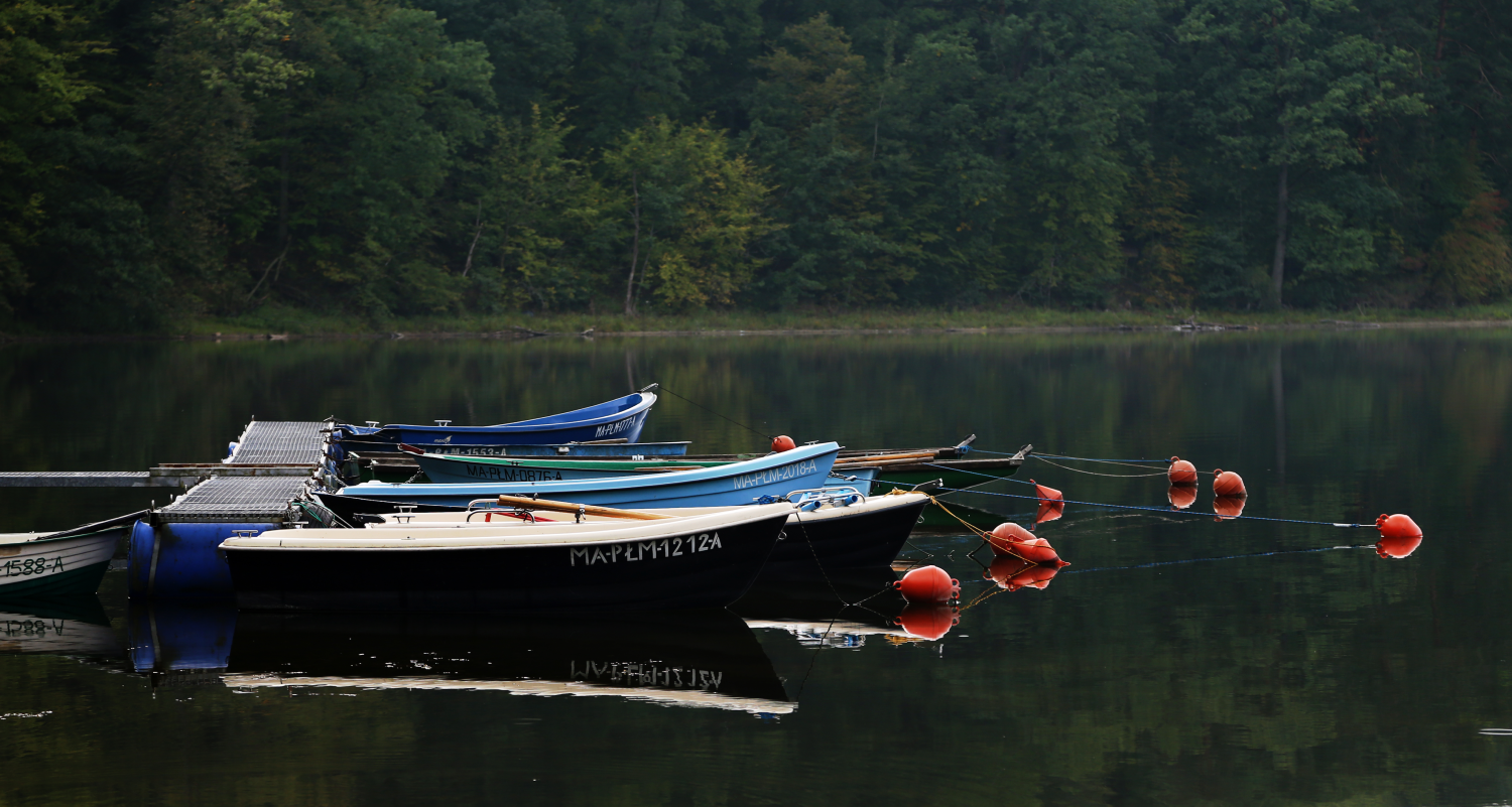 boats2.png
