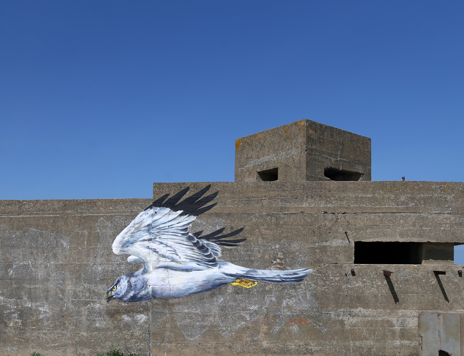 whitstable6.png