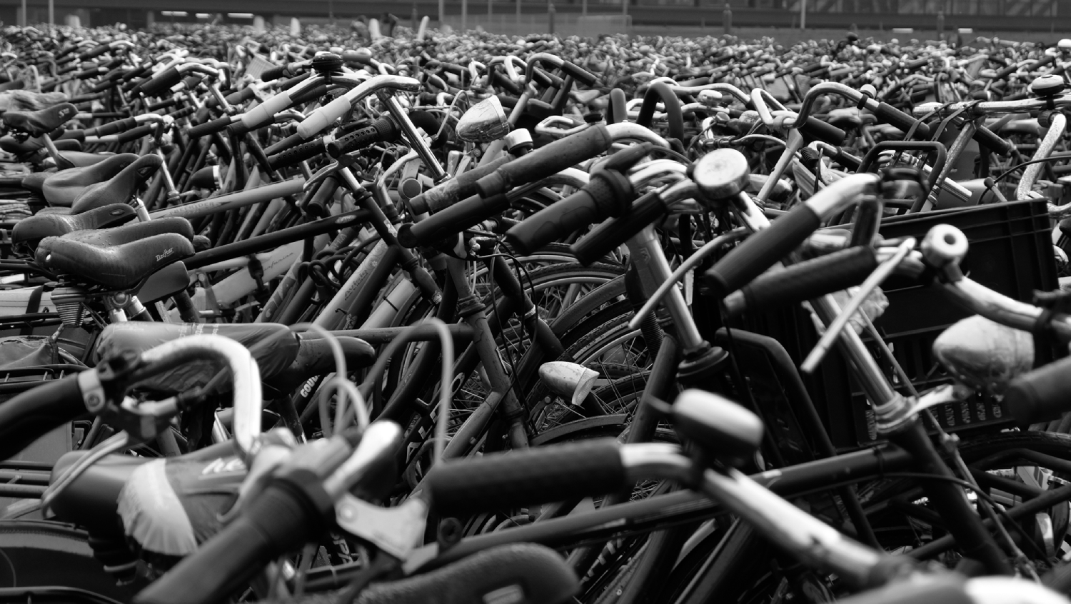 BikeOcean.png
