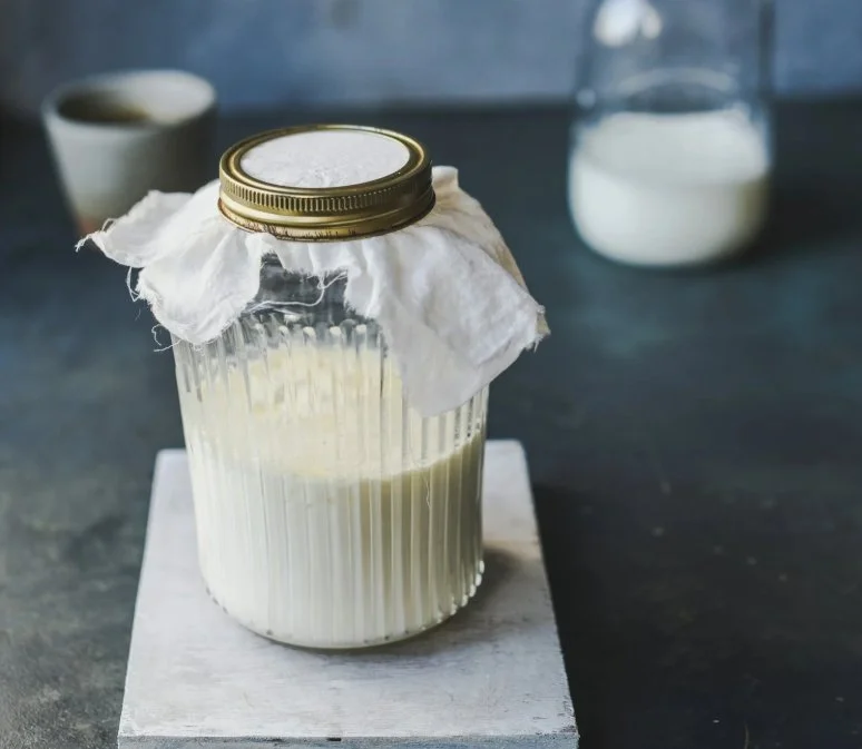 Reuteri-Joghurt bei Histaminintoleranz und SIBO?
