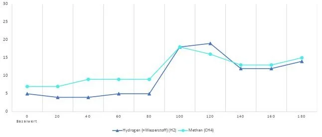 SIBO Test IMO positiv
