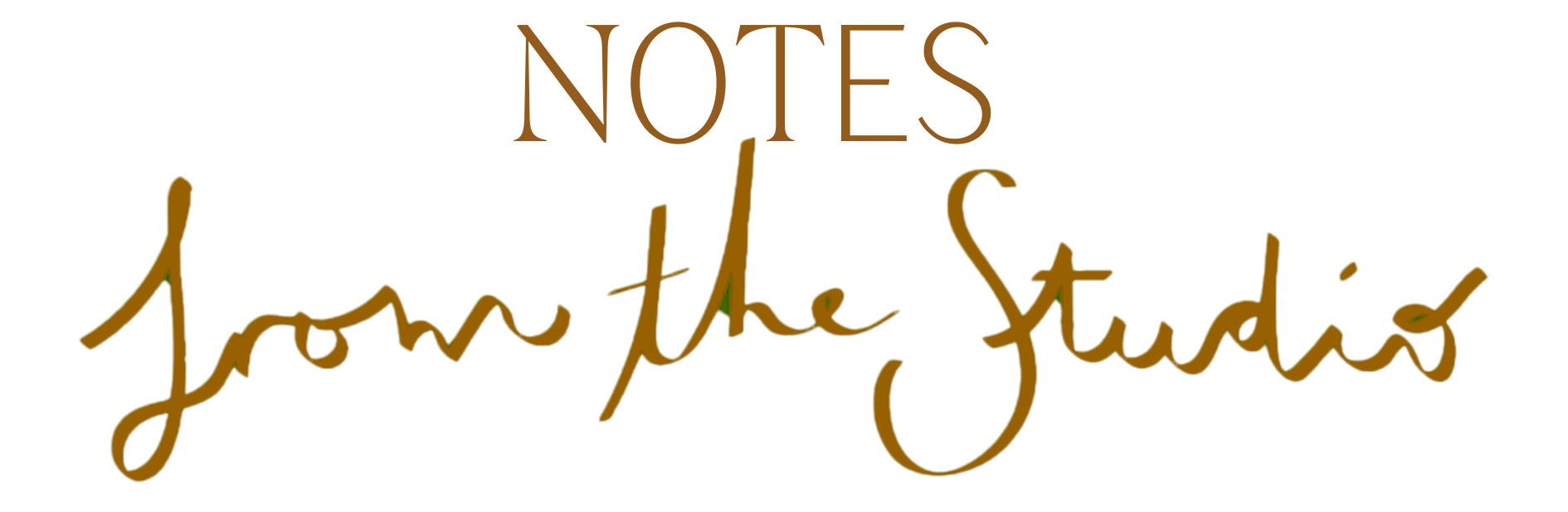Studio Hass Newsletter Sign Up